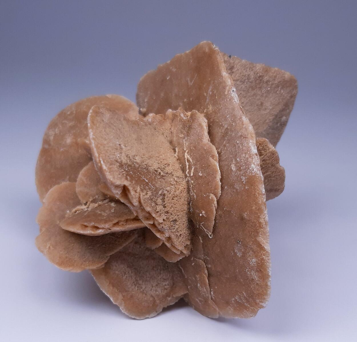 Desert Rose & Gypsum