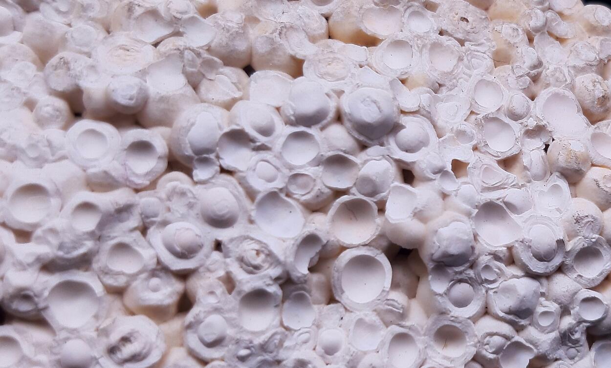 Pisolite & Aragonite & Calcite