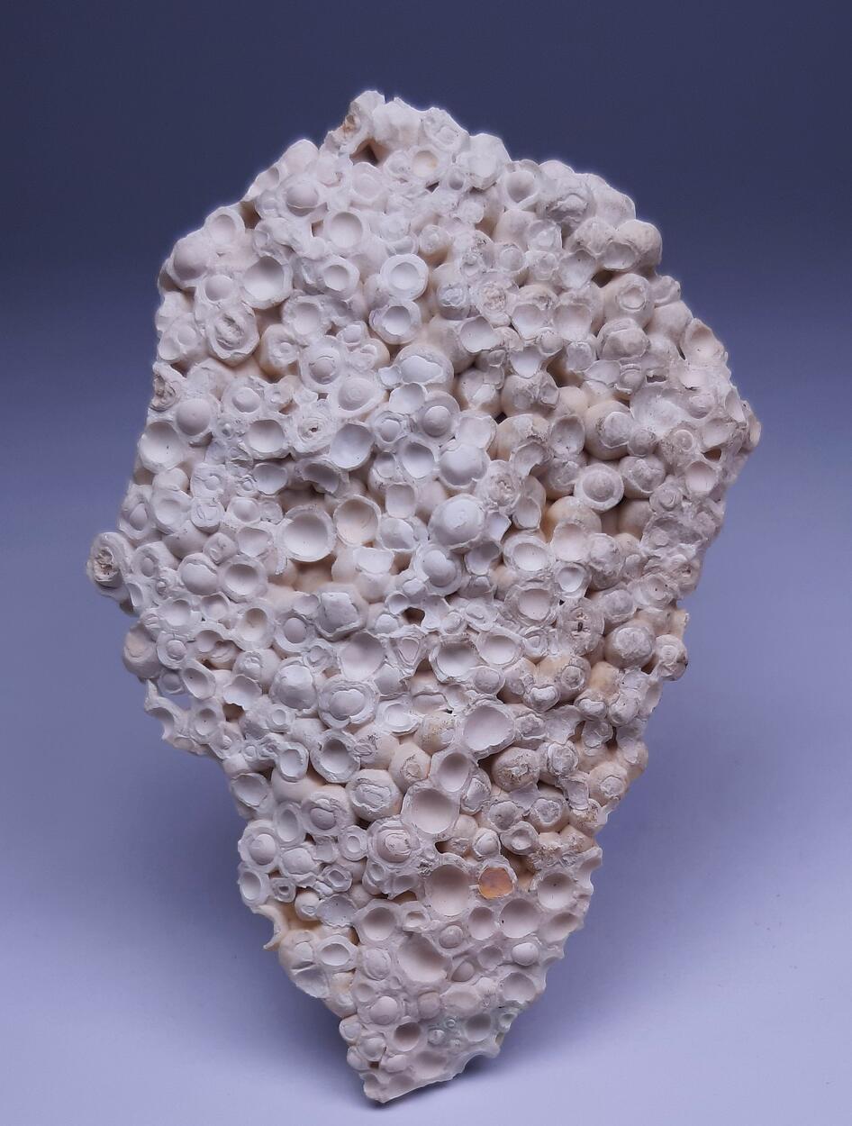 Pisolite & Aragonite & Calcite