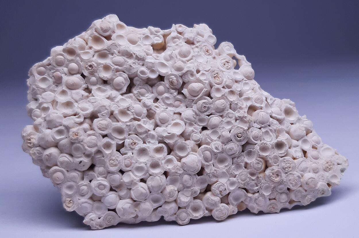 Pisolite & Aragonite & Calcite