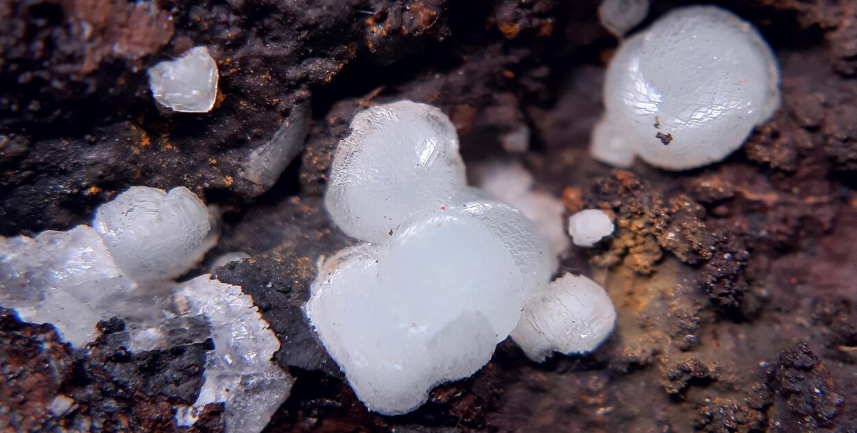 Smithsonite
