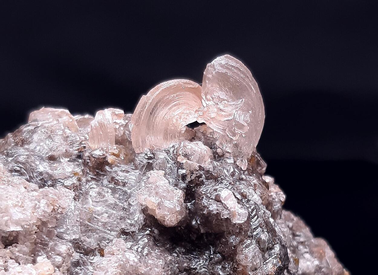 Halite
