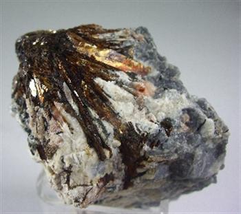 Astrophyllite