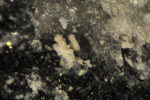 Hsianghualite Bromellite Liberite In Phlogopite