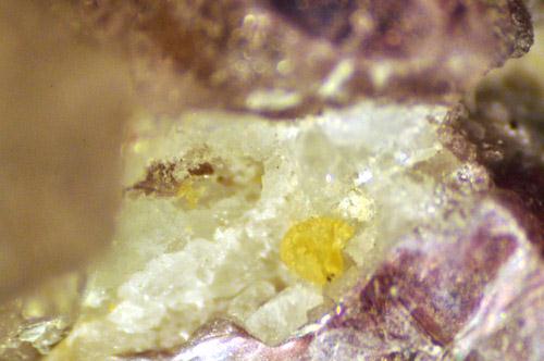 Stibiomicrolite & Lepidolite