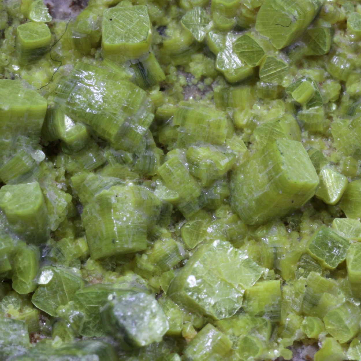 Meta-autunite