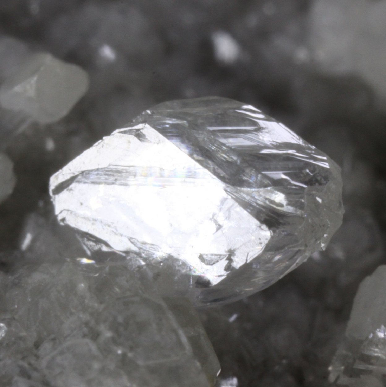 Whewellite