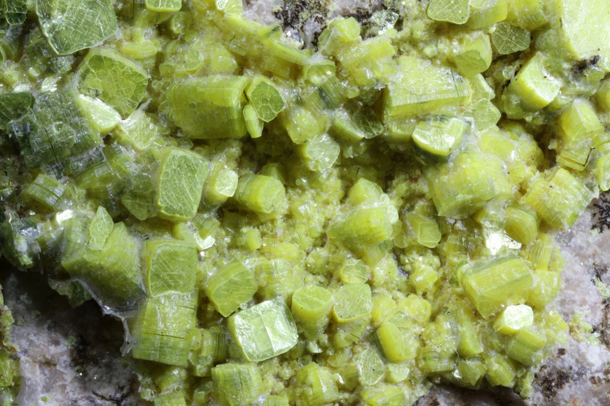 Autunite