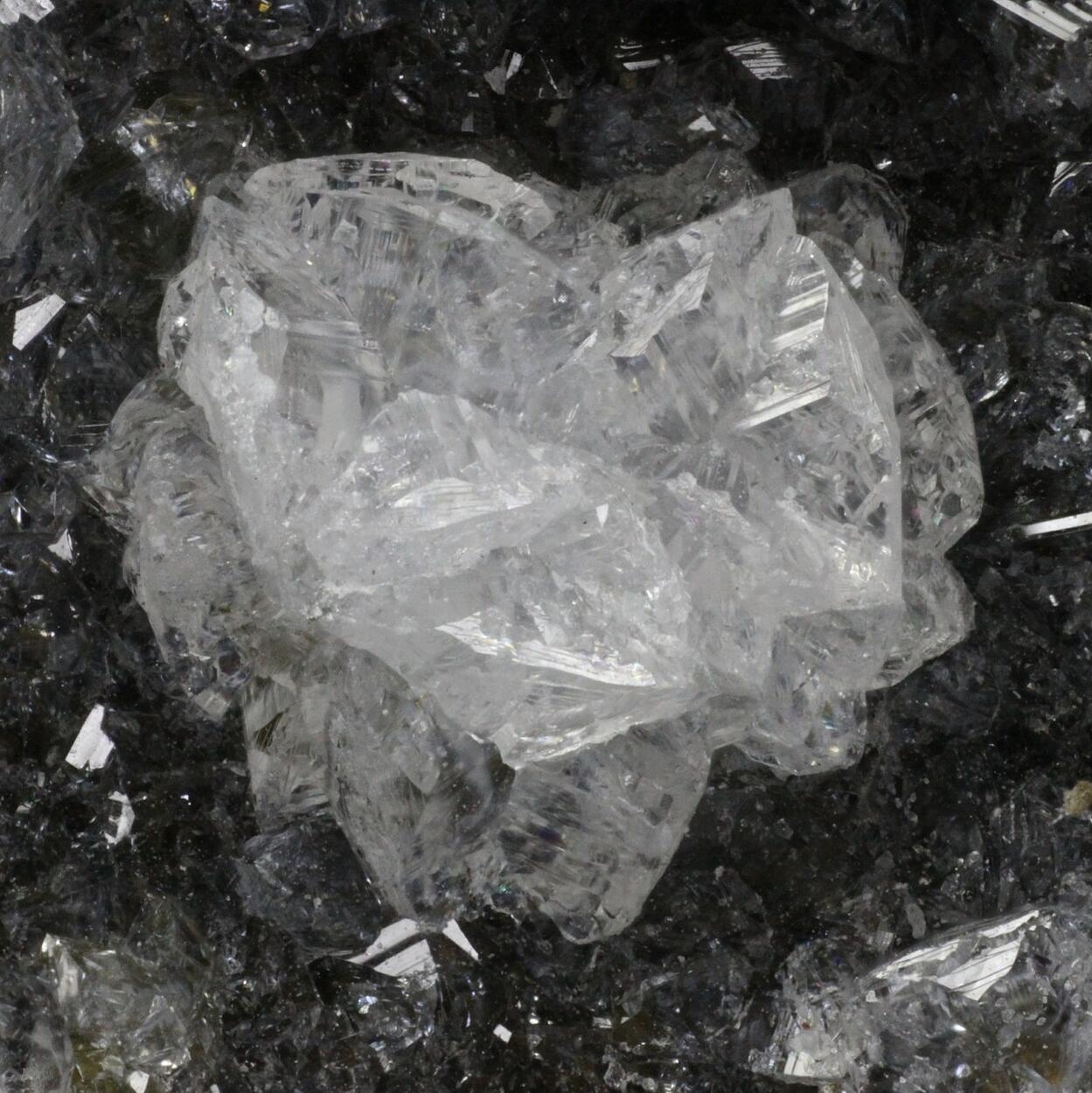 Phacolite