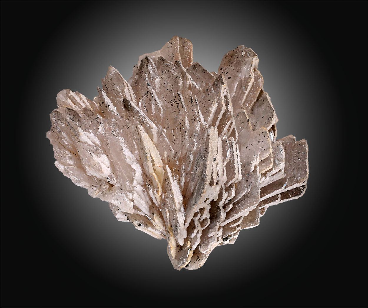 Baryte