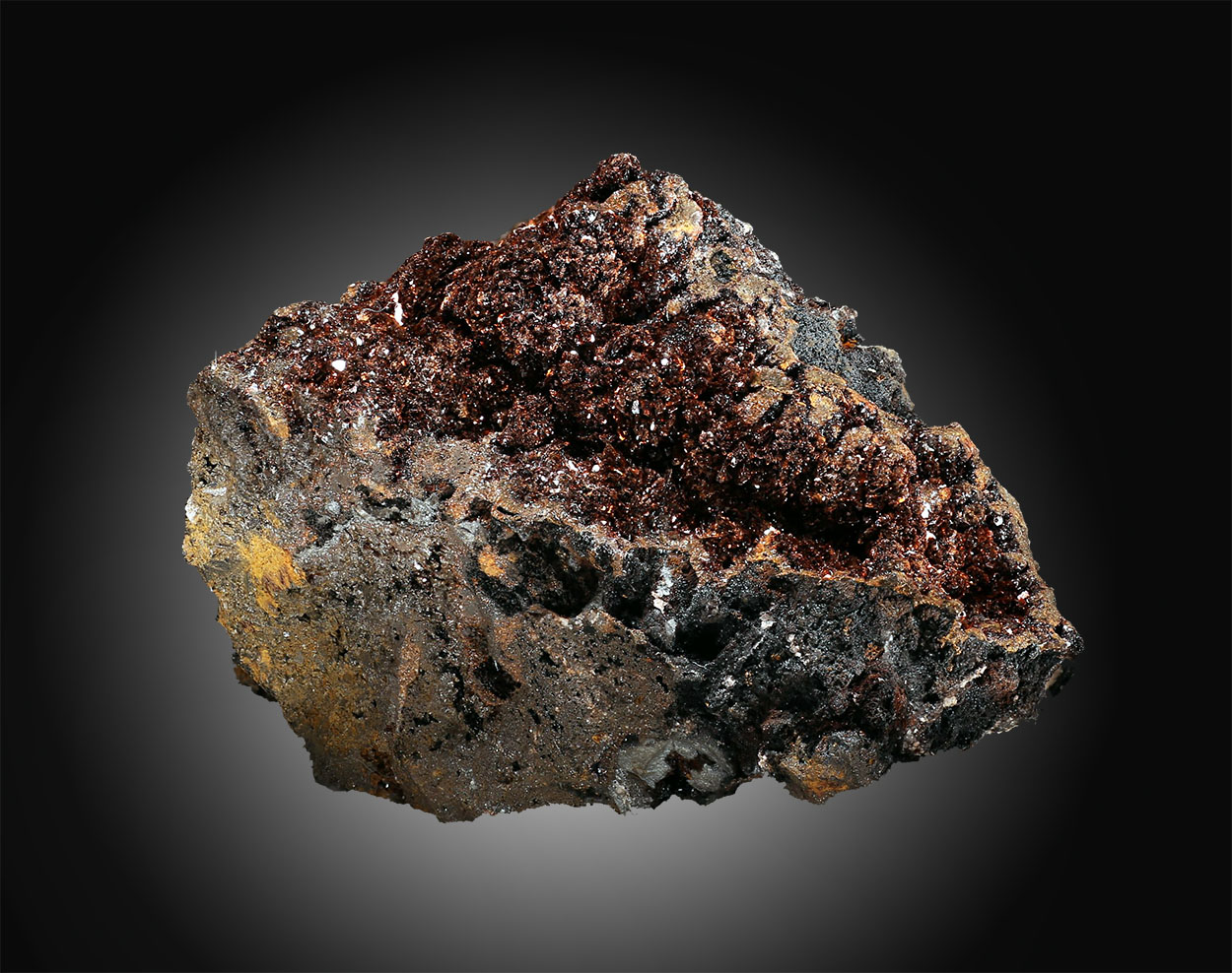 Lepidocrocite