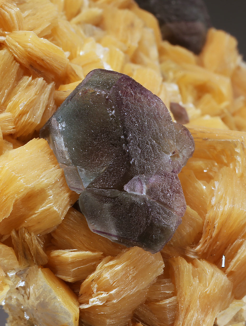 Fluorite & Muscovite