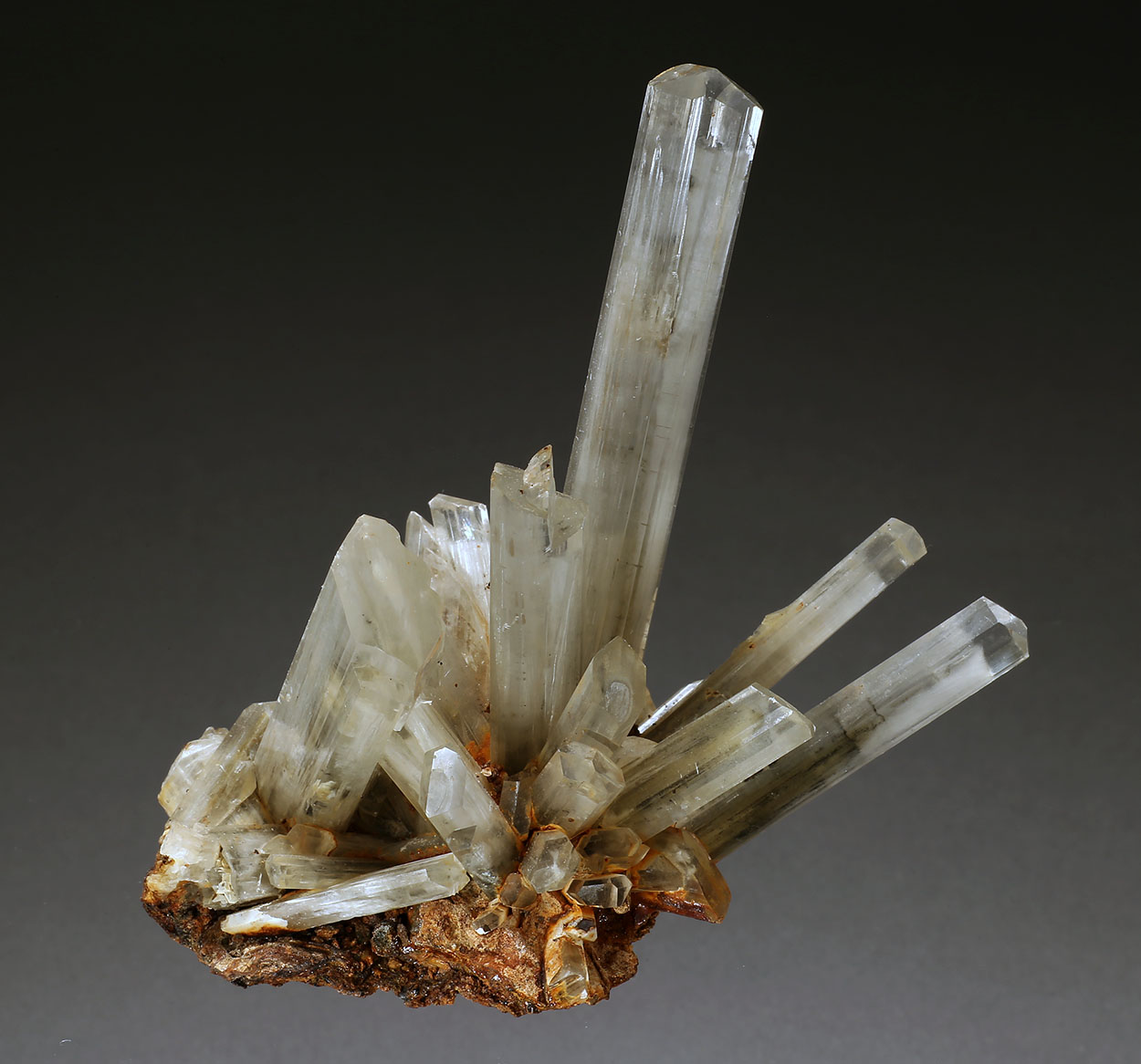 Gypsum