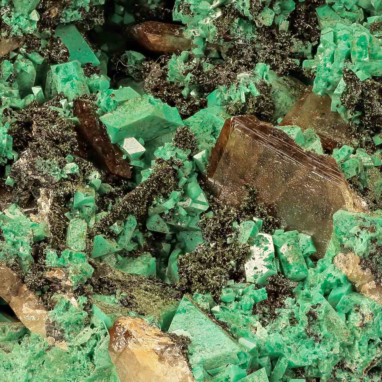 Cuprian Adamite & Wulfenite