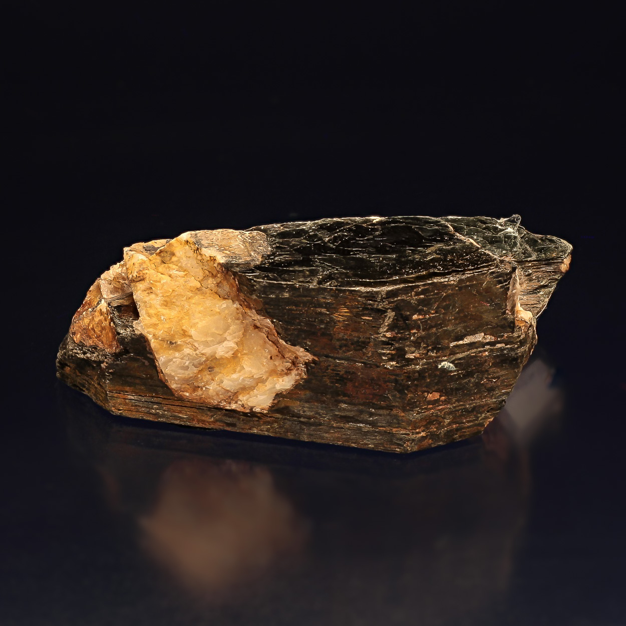 Biotite