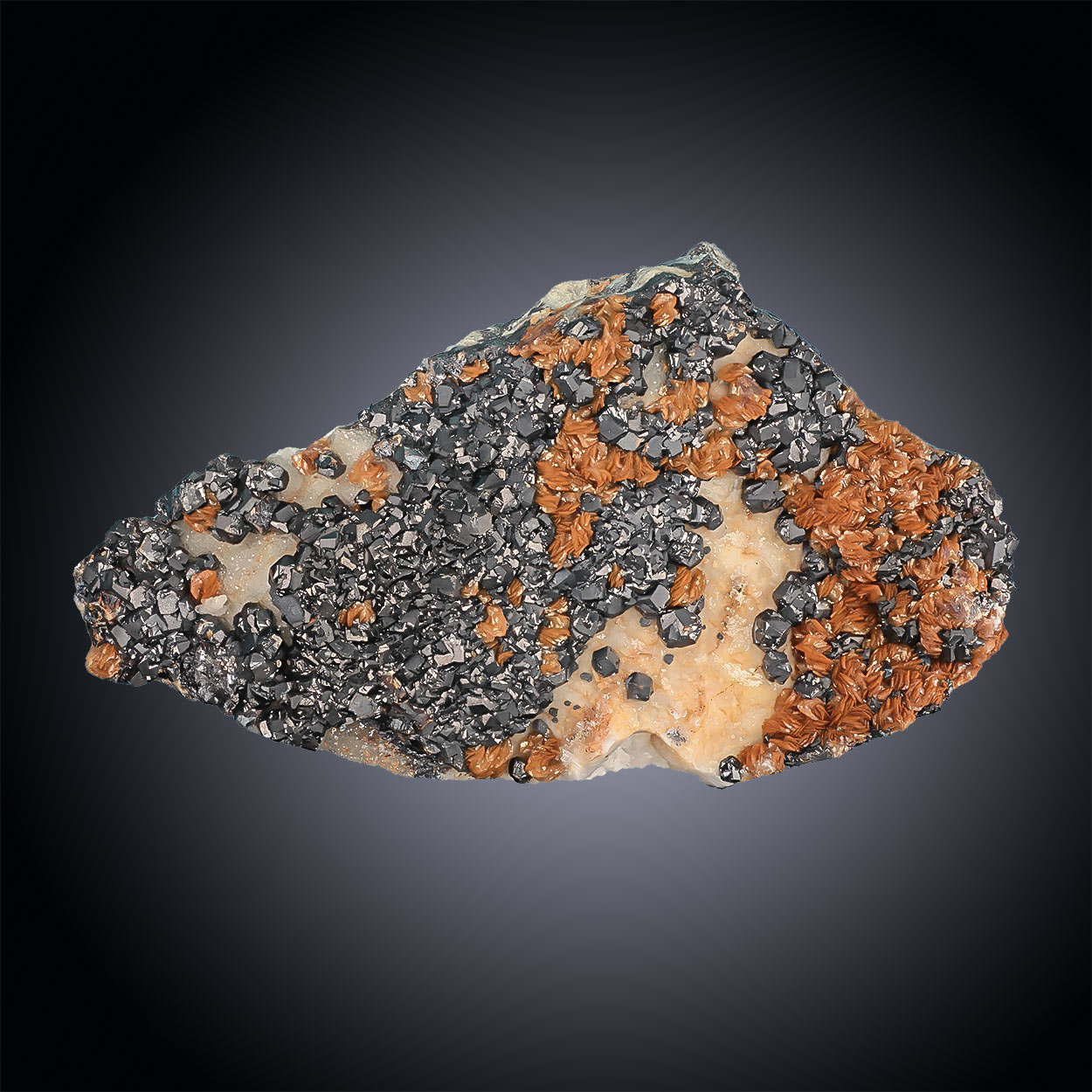 Galena & Siderite