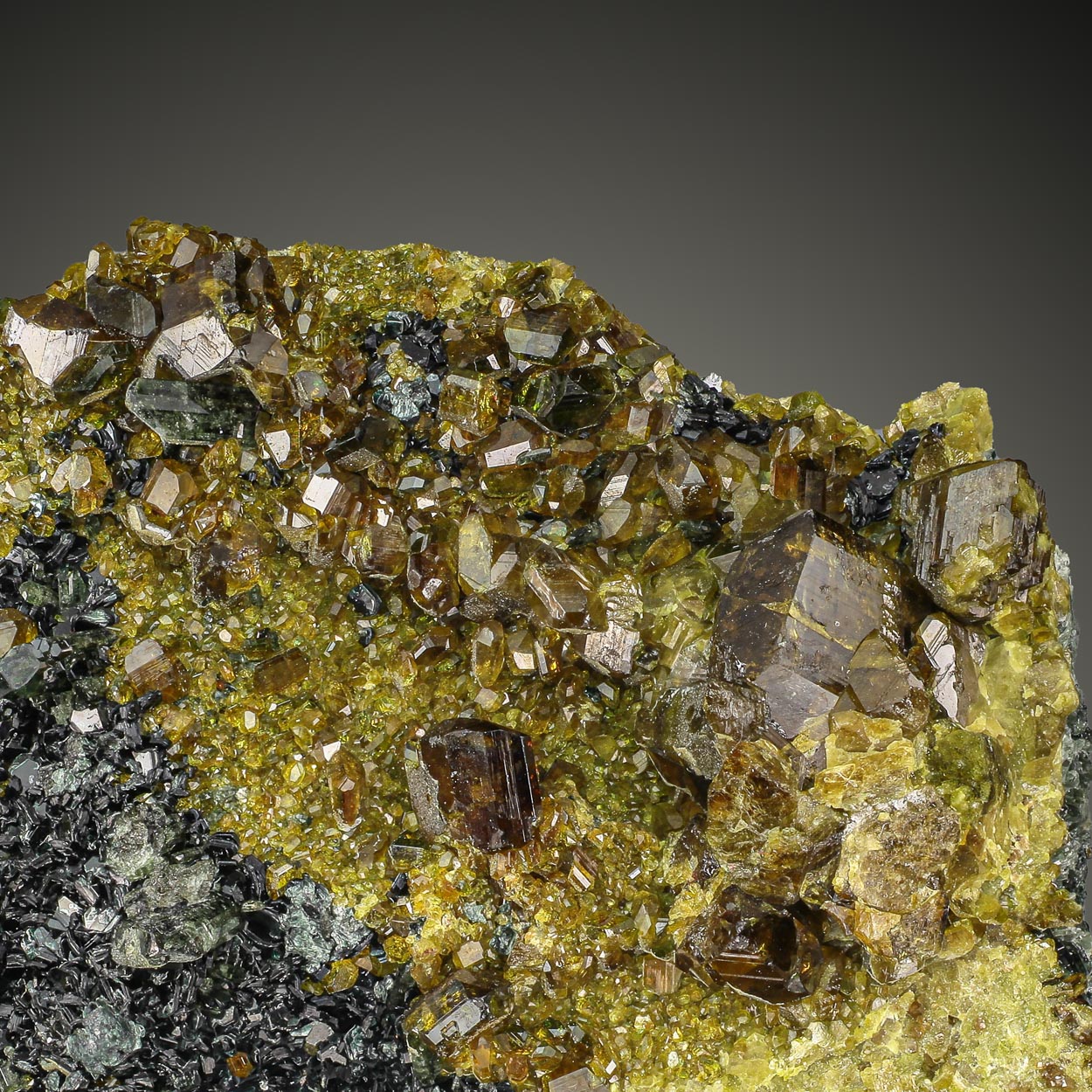 Diopside & Epidote