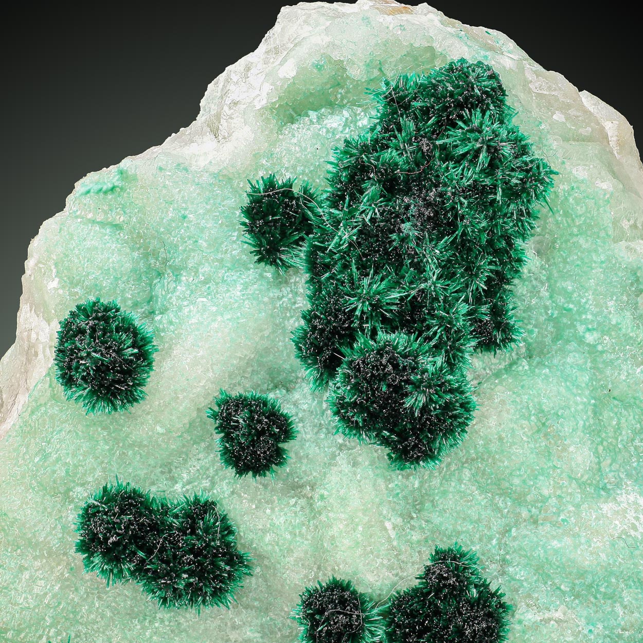 Malachite On Cuprian Calcite