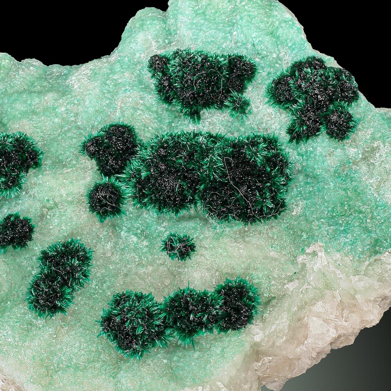 Malachite On Cuprian Calcite