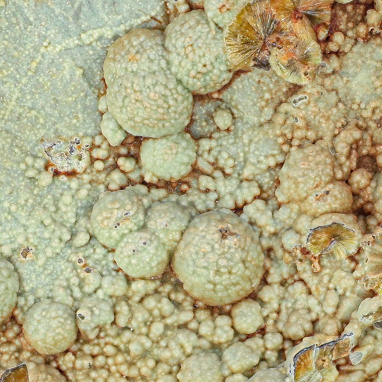 Wavellite