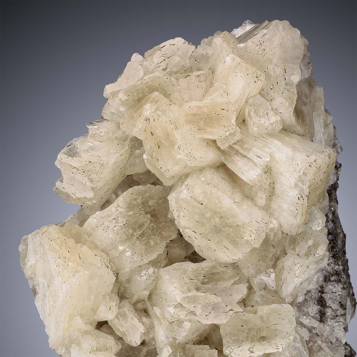 Stellerite