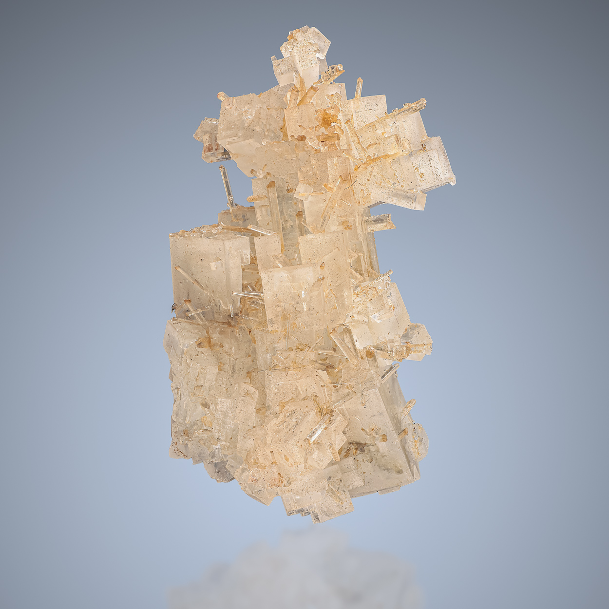 Halite & Gypsum