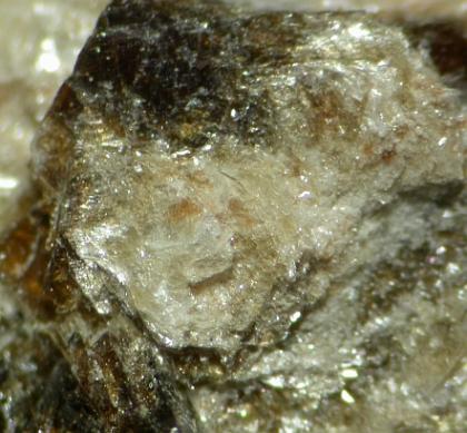 Bornemanite