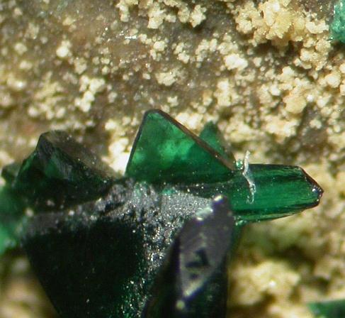 Anatacamite