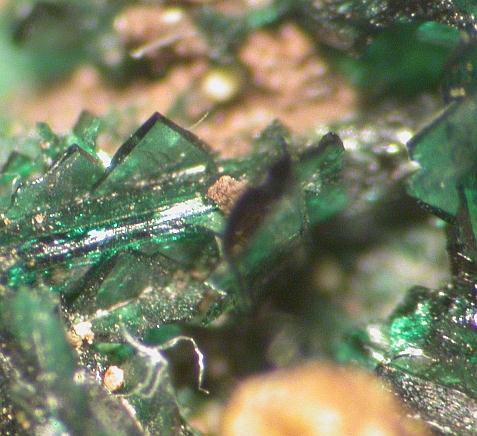 Anatacamite