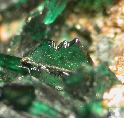 Anatacamite