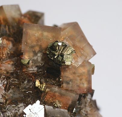 Fluorite With Chalcopyrite