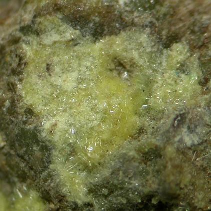 Studtite