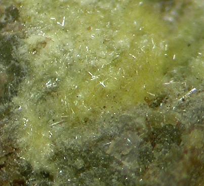 Studtite