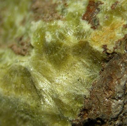 Studtite