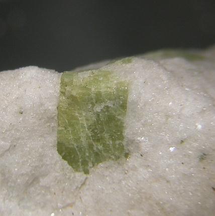Turkestanite