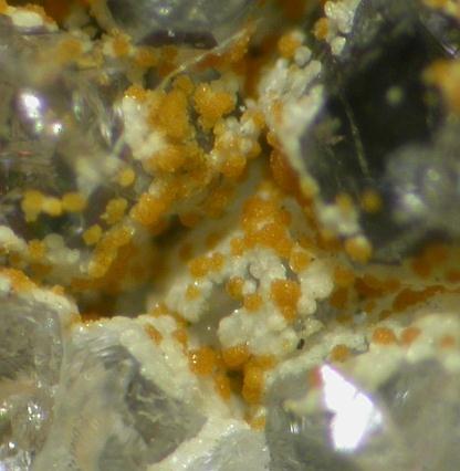 Cacoxenite & Crandallite & Wavellite