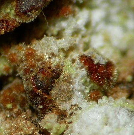 Cobaltarthurite