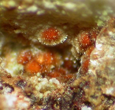 Cobaltarthurite