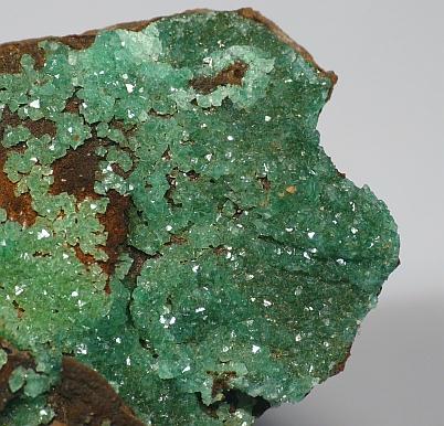 Cuprian Adamite