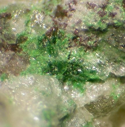 Francisite
