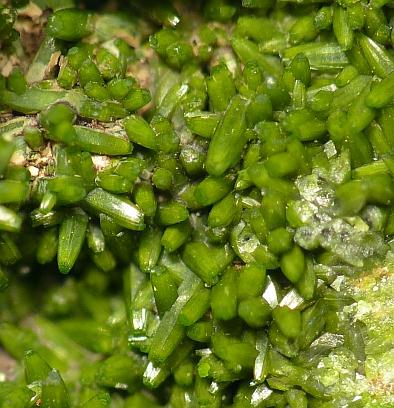 Pyromorphite