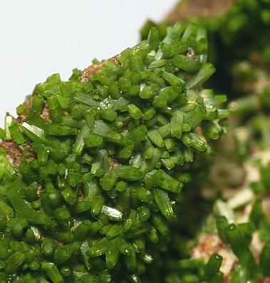 Pyromorphite