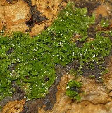 Pyromorphite