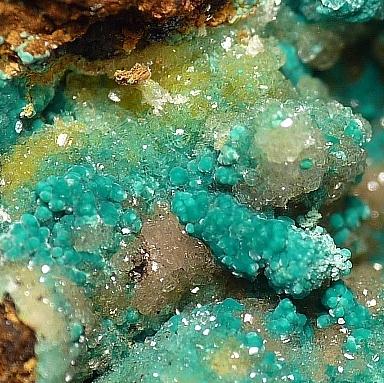 Rosasite On Hemimorphite