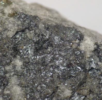 Scainiite