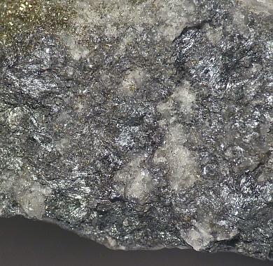 Scainiite