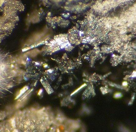 Argentopyrite