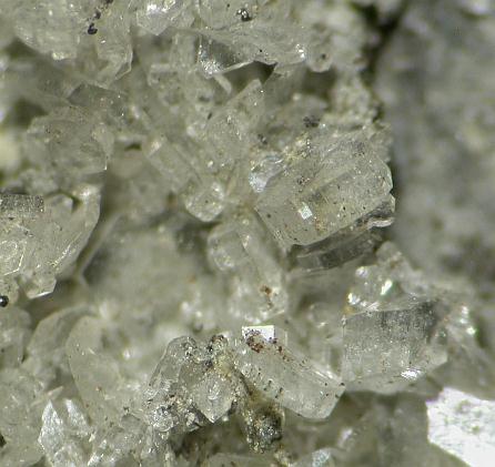Brandholzite
