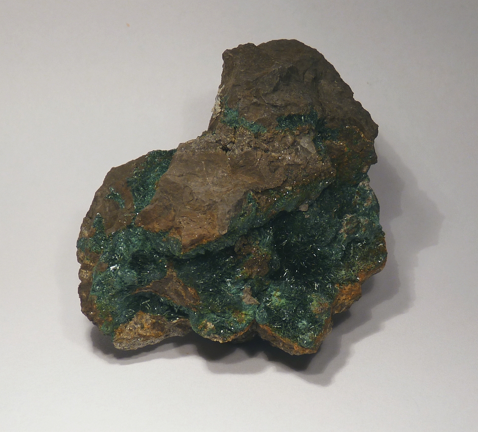 Gormanite