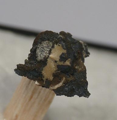 Kleemanite